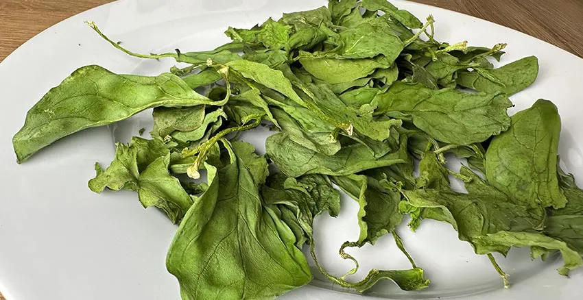 Gedroogde spinazie