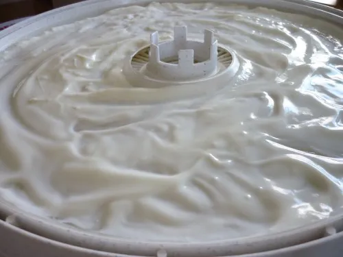 Yoghurt drogen