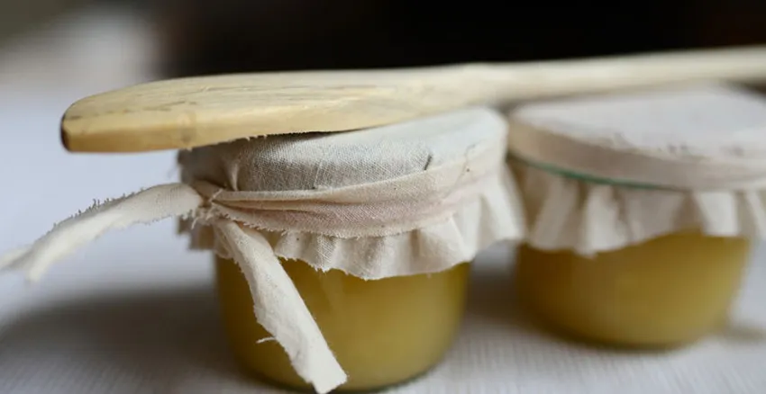Appelmoes voedseldroger