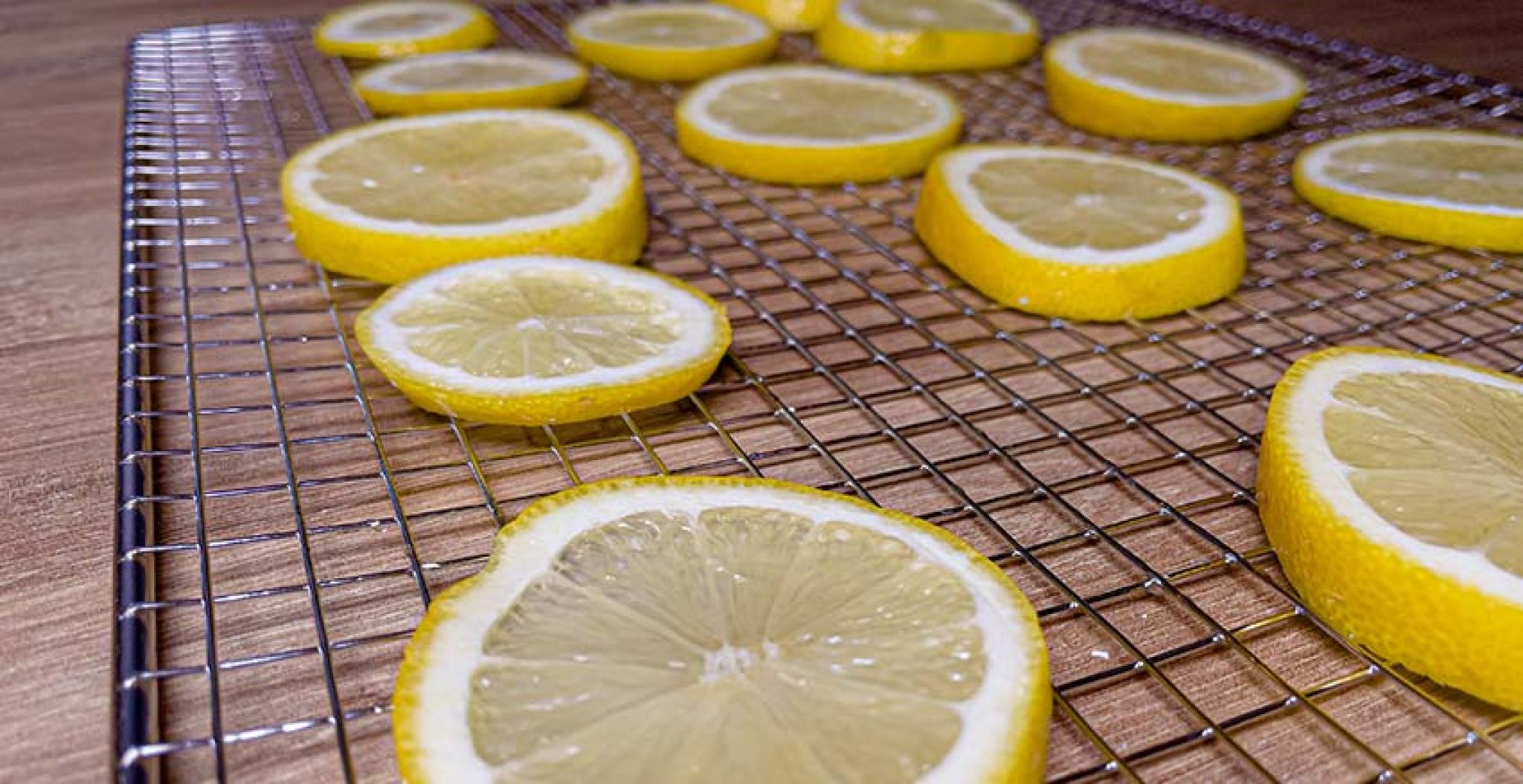 Citroen Drogen Zelf citroenschijfjes drogen in een voedseldroger