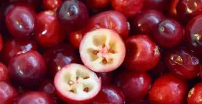 Cranberry drogen