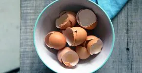 Eierschalen Drogen