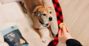 Hondensnacks drogen