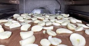 Knoflook drogen
