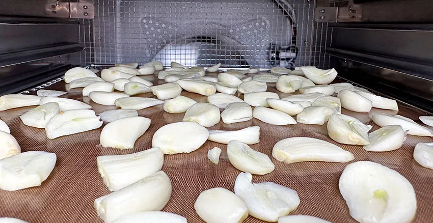 Knoflook drogen