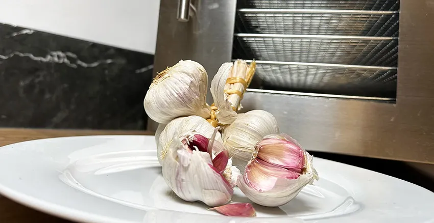 Knoflook voedseldroger