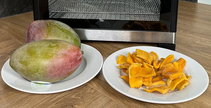 Mango voedseldroger