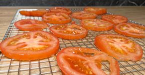 Tomaten drogen