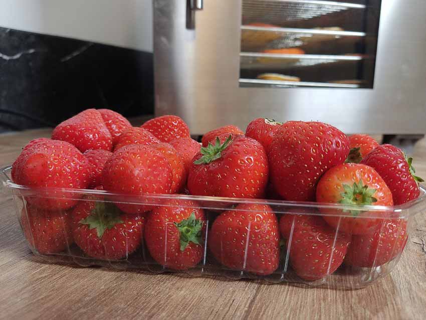 aardbeien wartmann voedseldroger