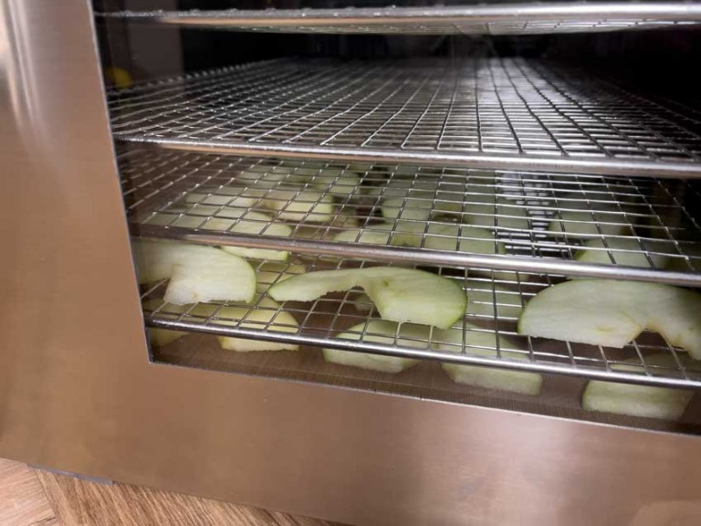 Gedroogde appels Stappenplan met voedseldroger