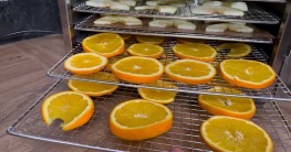gedroogde sinaasappelschijfjes