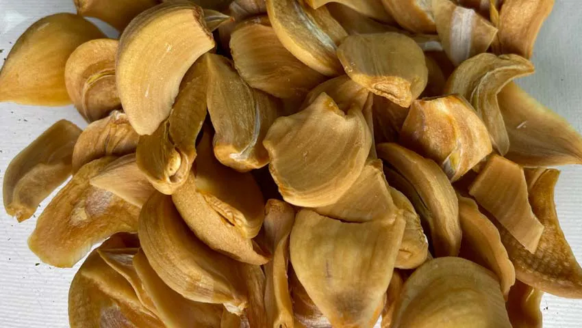 knoflook-drogen