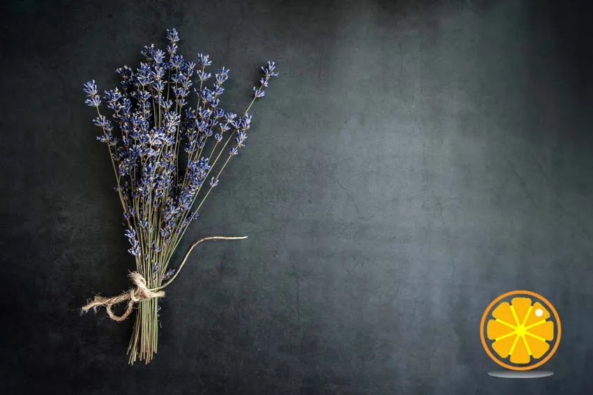 bloemen drogen