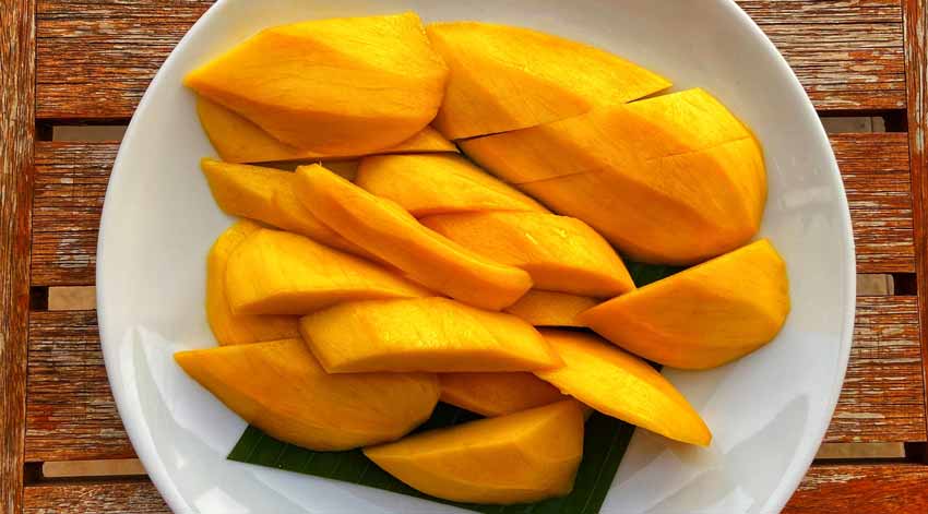 mango drogen voedseldroger