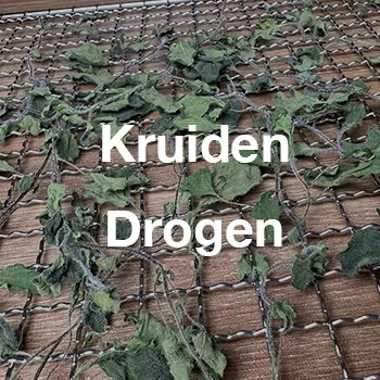 Kruiden drogen