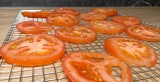 Tomaten drogen in voedseldroger